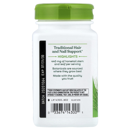 horsetail-grass-natures-way [3]