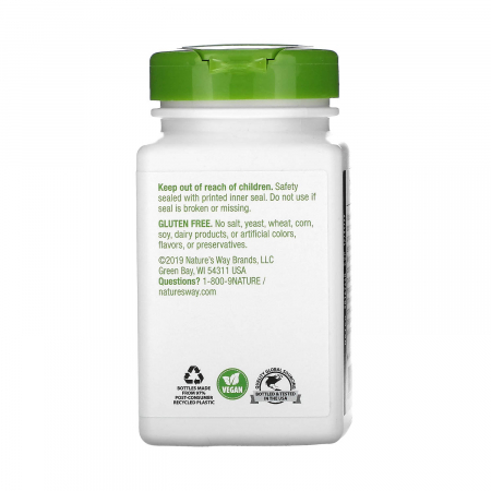 melissa-lemon-balm-leaf-natures-way [2]