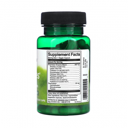 n-zimes-digestive-enzyme-swanson [1]