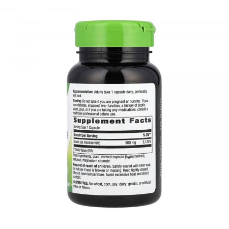 niacinamide-non-flushing-natures-way [1]
