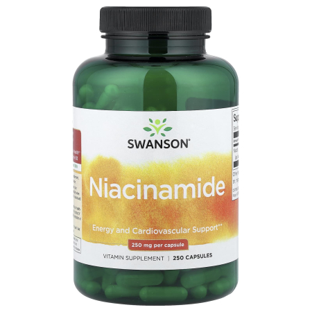 niacinamide-500mg-swanson [0]