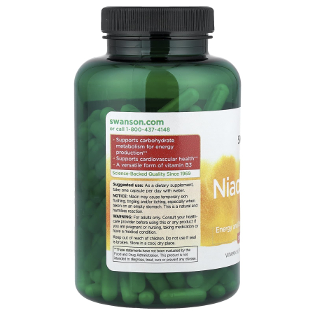 niacinamide-500mg-swanson [2]