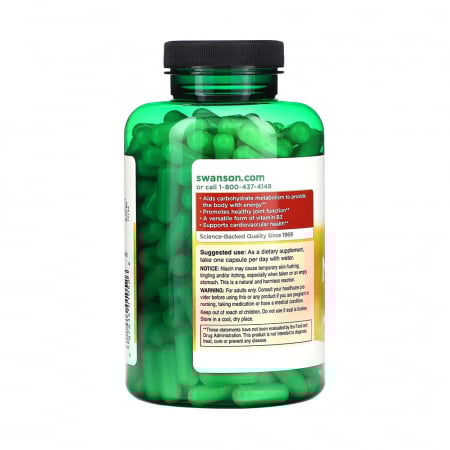 niacinamide-500mg-swanson [2]