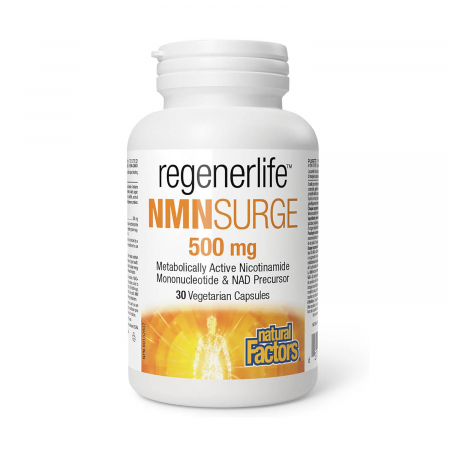 Natural Factors - nmn-surge-nad-boost-natural-factors