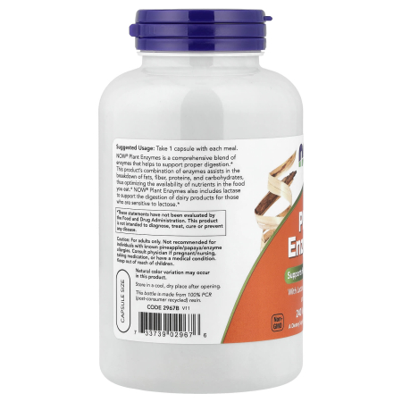 plant-enzymes-now-foods [2]