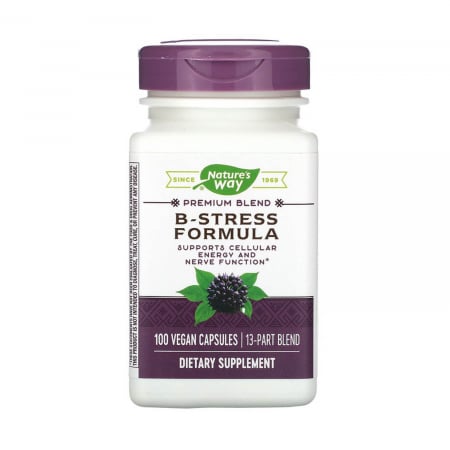 VITAMINE - b-stress-formula-natures-way