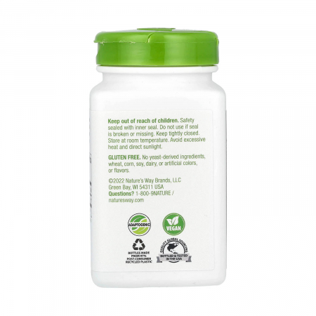 schisandra-fruit-natures-way [2]