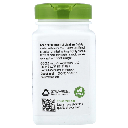 schisandra-fruit-natures-way [2]