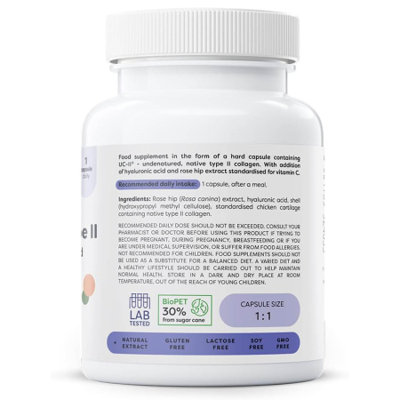 uc-ii-collagen-type-ii-with-hyaluronic-acid-osavi [2]