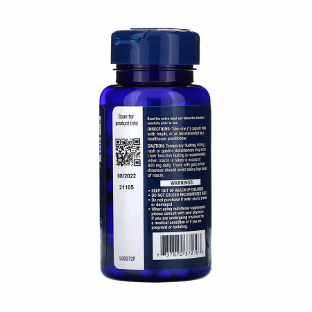 vitamin-b3-niacin-life-extension [2]