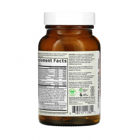 vitamin-code-raw-b-complex-garden-of-life [5]