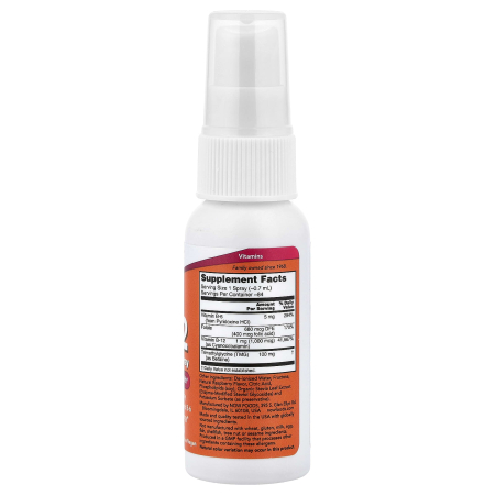 b12-liposomal-spray-now-foods [1]