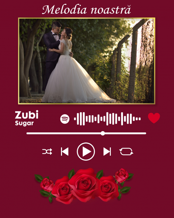 Placheta Spotify - Piesa Noastra [2]