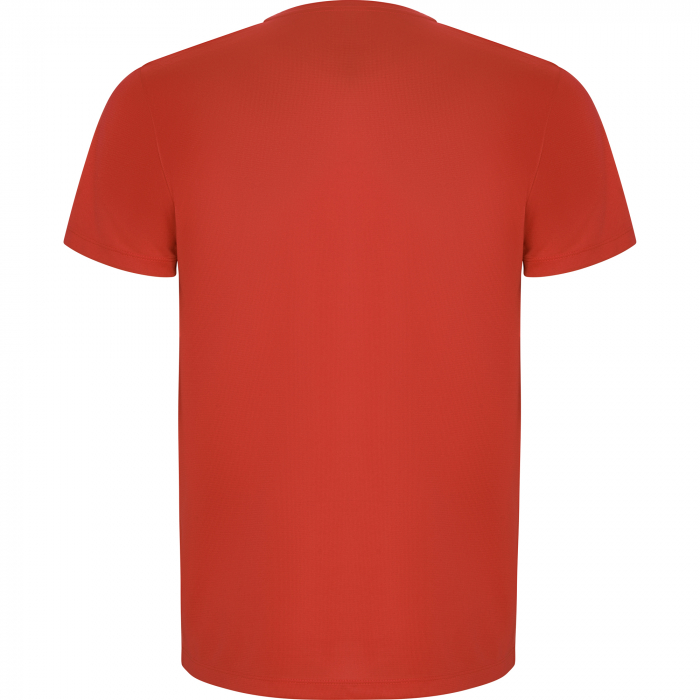 TRICOU IMOLA [2]