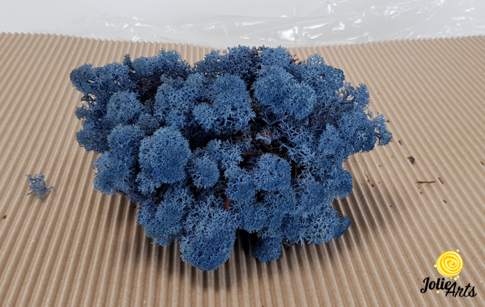 Licheni decorativi naturali stabilizati, culoare Albastru Azur, Azur Blue 86, Jolie Arts [2]
