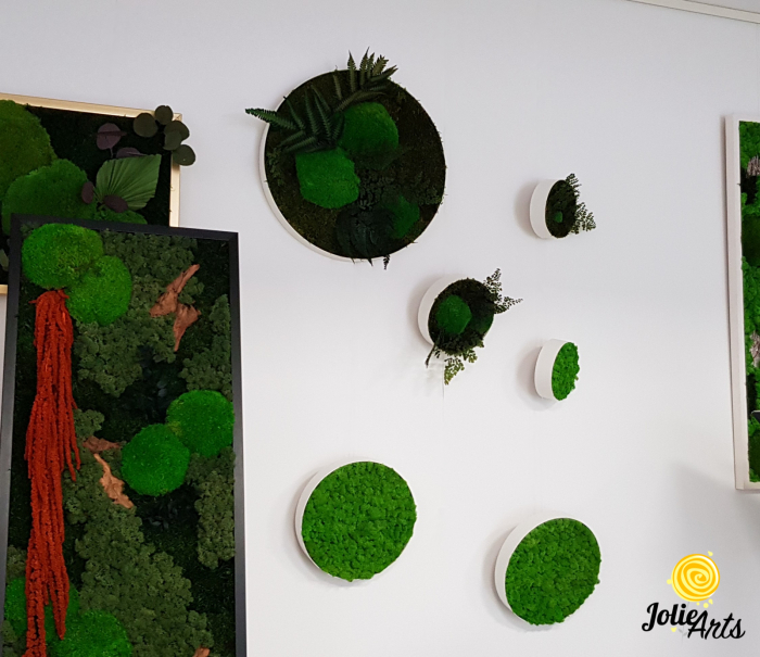 Set 6 rame pe rotund cu licheni, muschi si plante naturale stabilizate Jolie Arts [5]