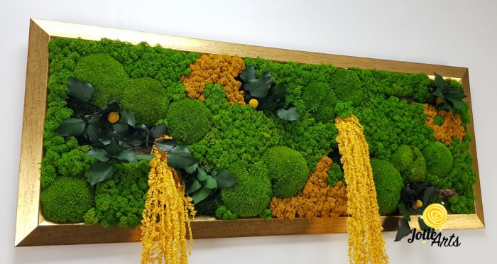Tablou Amaranthus Galben cu ramă aurie [7]