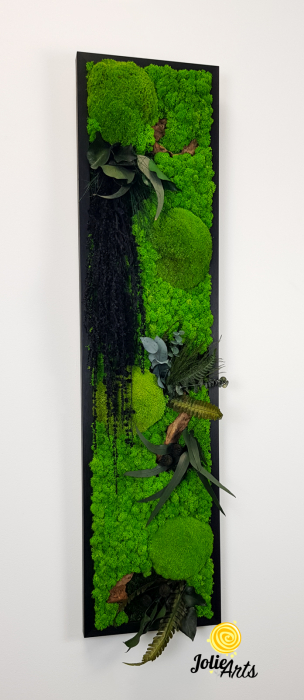 Amaranthus Negru / design vertical [6]