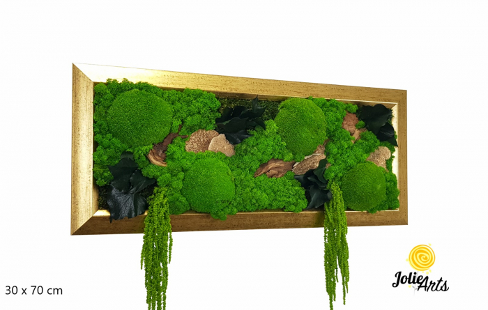 Tablou Amaranthus Verde Orizontal cu Ramă Patinată cu Inserții Aurii [3]