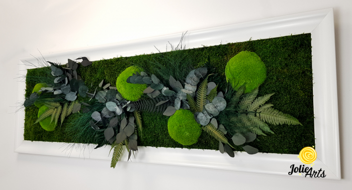 Tablou Green Day – Mușchi și Plante Naturale Stabilizate, Ramă Albă Lucioasă, Profil Lat [6]