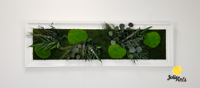 Tablou Green Day – Mușchi și Plante Naturale Stabilizate, Ramă Albă Lucioasă, Profil Lat [3]