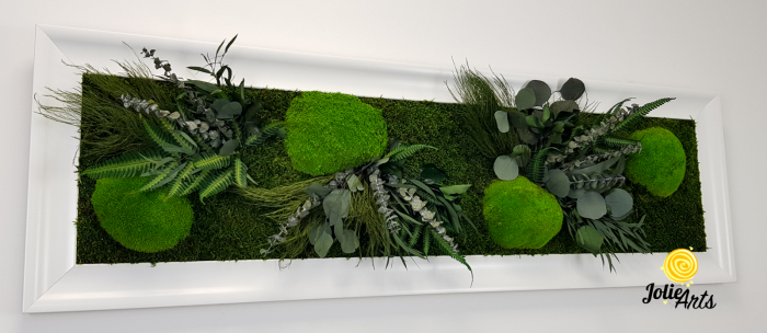 Tablou Green Day – Mușchi și Plante Naturale Stabilizate, Ramă Albă Lucioasă, Profil Lat [5]