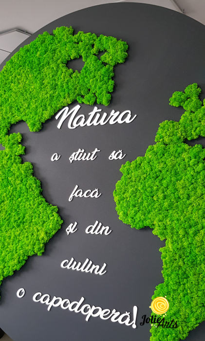Harta lumii cu mesaj personalizat, decorata cu licheni naturali stabilizati [3]