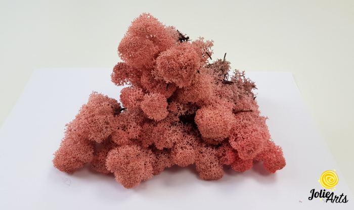 Licheni decorativi naturali stabilizati, culoare Roz, Pink 62, Jolie Arts [2]