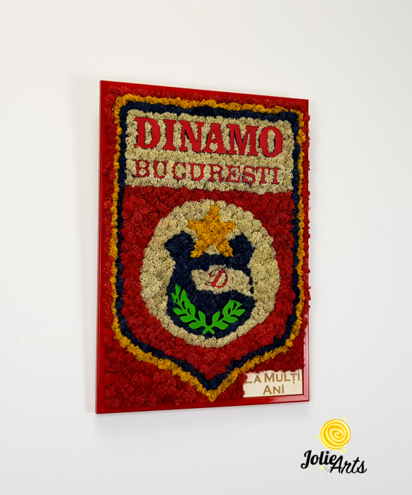 Logo Dinamo cu licheni [4]