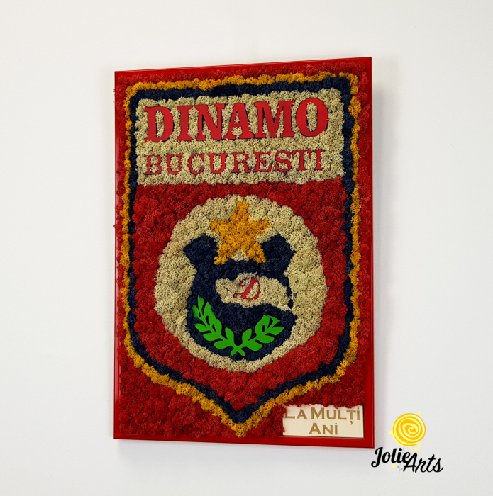 Logo Dinamo cu licheni [2]
