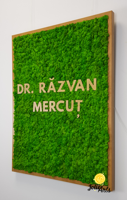 Logo Dr. R.M. decorat cu licheni naturali [6]
