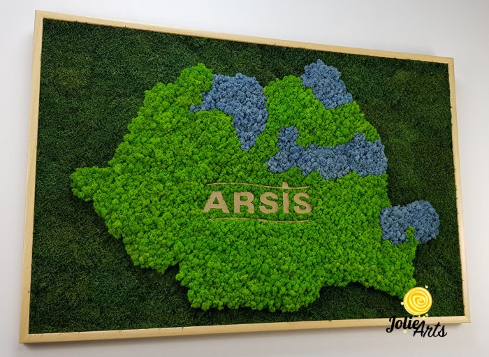Logo Personalizat Arsis, Decorat cu Licheni si Muschi Plati, Naturali Stabilizati, Harta Romaniei [6]