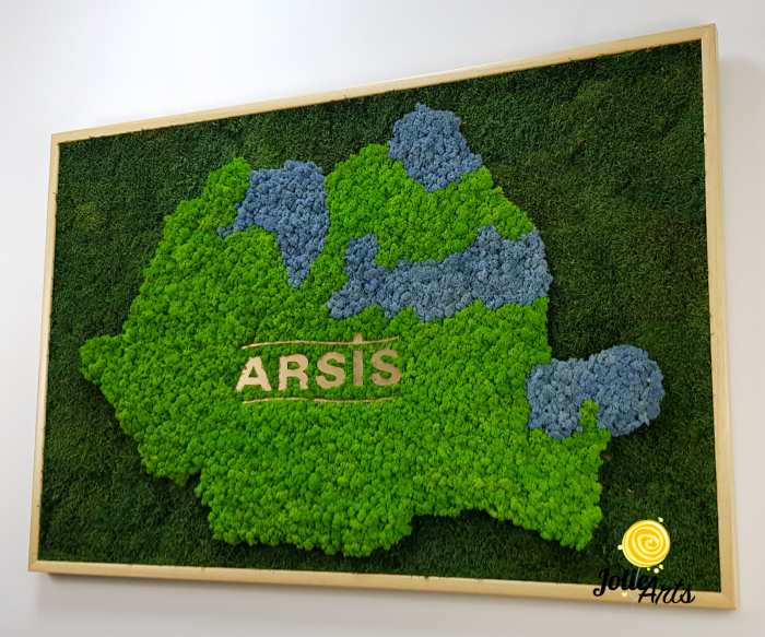 Logo Personalizat Arsis, Decorat cu Licheni si Muschi Plati, Naturali Stabilizati, Harta Romaniei [5]