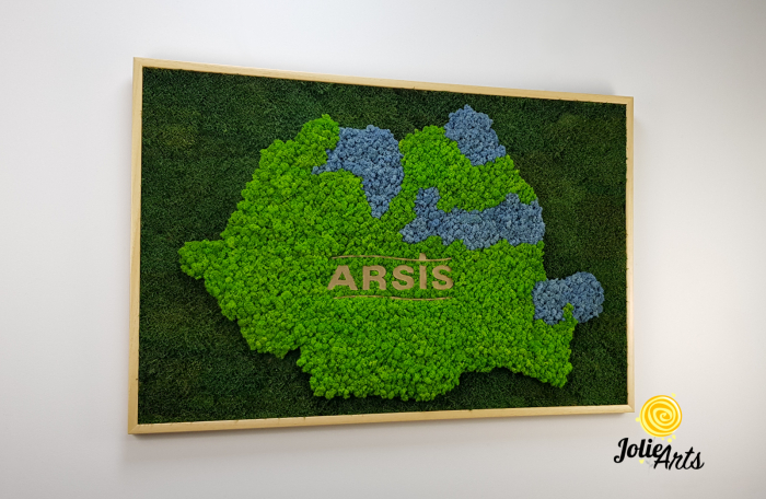 Logo Personalizat Arsis, Decorat cu Licheni si Muschi Plati, Naturali Stabilizati, Harta Romaniei [4]