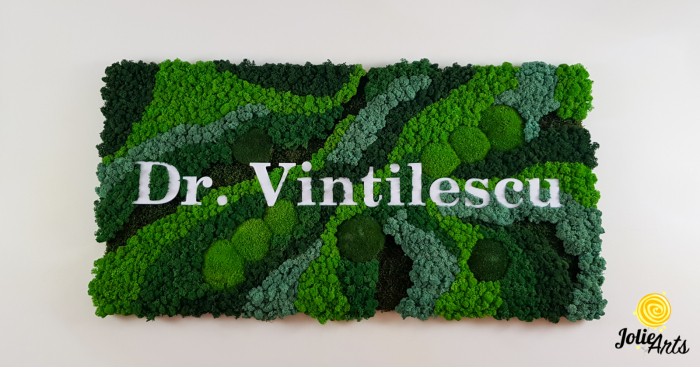 logo-dr-vintilescu-licheni-panou-personalizat-jolie-arts [1]
