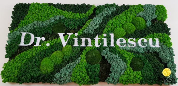 logo-dr-vintilescu-licheni-panou-personalizat-jolie-arts [2]