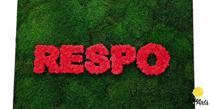 Logo Respo, muschi plati si licheni naturali stabilizati, Jolie Arts, www.tablouriculicheni.ro-4 [3]