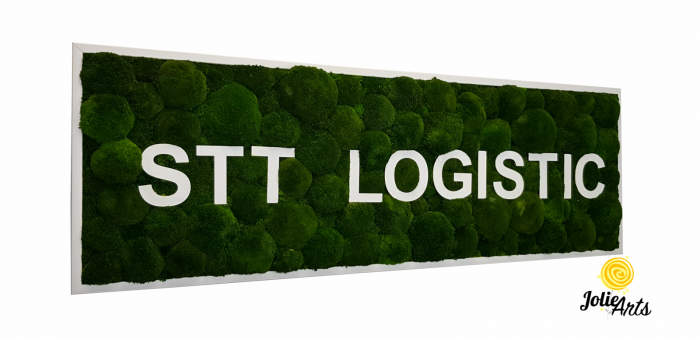 Logo STT LOGISTIC [1]
