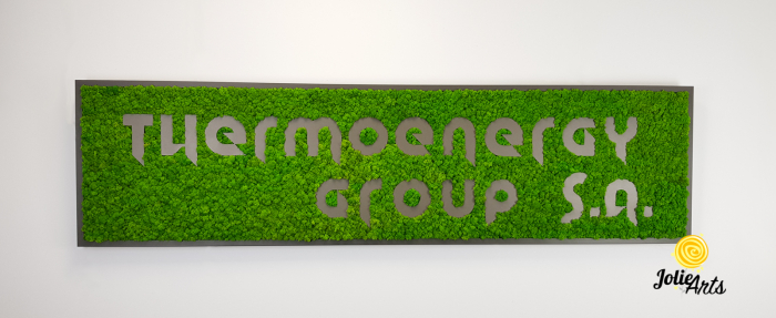 Logo Thermoenergy Group [3]