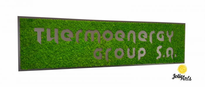 Logo Thermoenergy Group [1]