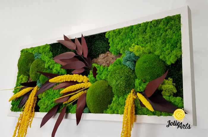 Tablou Amalonis – Mușchi de pădure, licheni și plante naturale stabilizate [5]