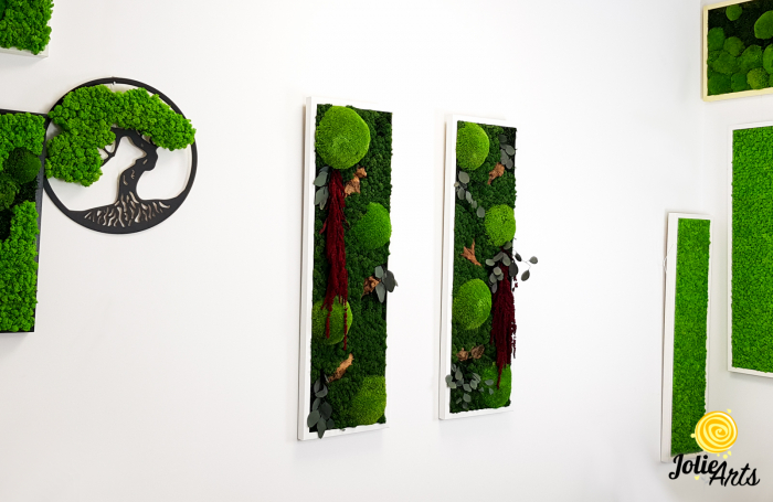 Tablou licheni, muschi si plante naturale stabilizate, Model Amaranthus 2, Jolie Arts, www.tablouriculicheni.ro-5 [7]