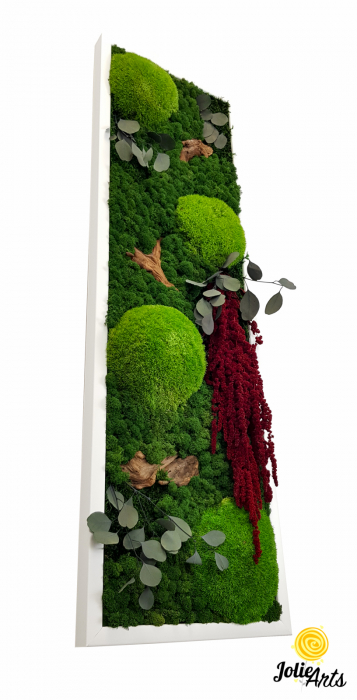 Tablou licheni, muschi si plante naturale stabilizate, Model Amaranthus 2, Jolie Arts, www.tablouriculicheni.ro-5 [1]
