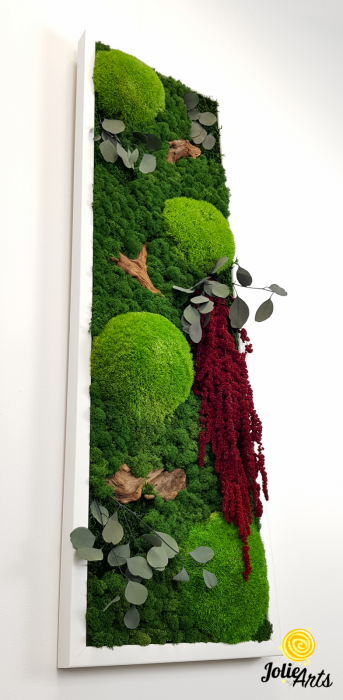 Tablou licheni, muschi si plante naturale stabilizate, Model Amaranthus 2, Jolie Arts, www.tablouriculicheni.ro-5 [6]