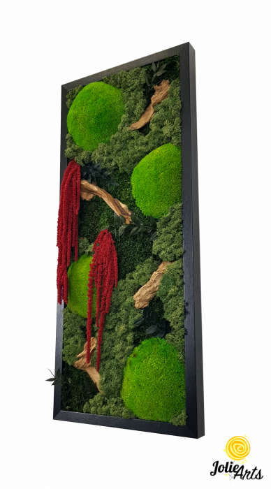 Tablou licheni, muschi si plante naturale stabilizate, Model Amaranthus 2, Jolie Arts, www.tablouriculicheni.ro-5 [2]