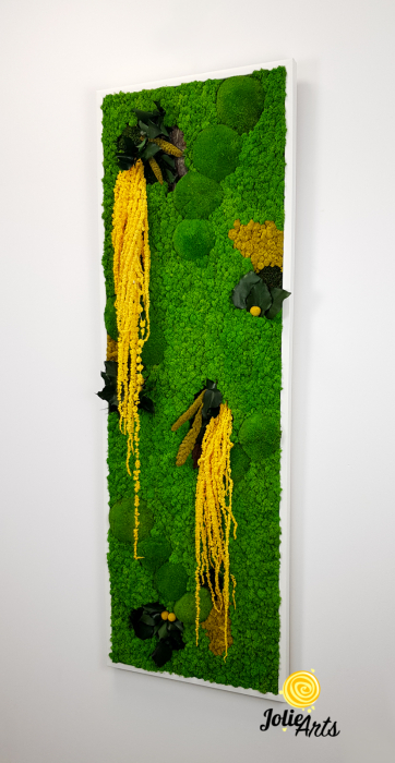 Tablou licheni, muschi si plante naturale stabilizate, Model Amaranthus galben, design vertical, 20 x 80 cm, rama neagra, Jolie Arts, www.tablouriculicheni.ro-3 [2]