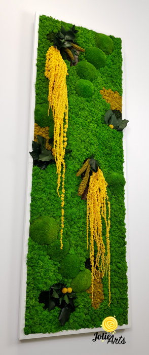 Tablou licheni, muschi si plante naturale stabilizate, Model Amaranthus galben, design vertical, 20 x 80 cm, rama neagra, Jolie Arts, www.tablouriculicheni.ro-3 [6]