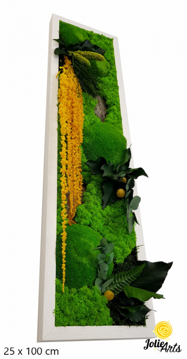 Tablou licheni, muschi si plante naturale stabilizate, Model Amaranthus galben, design vertical, 20 x 80 cm, rama neagra, Jolie Arts, www.tablouriculicheni.ro-3 [1]