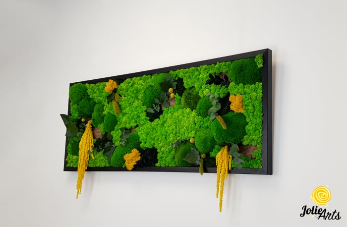 Tablou licheni, muschi si plante naturale stabilizate, Model Amaranthus galben, 40 x 100 cm, rama neagra, Jolie Arts, www.tablouriculicheni.ro-3 [2]