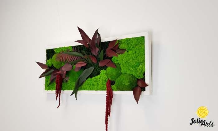 Tablou licheni, muschi si plante naturale stabilizate, Model Amaranthus Rosu, 30 x 70 cm, rama neagra, Jolie Arts, www.tablouriculicheni.ro-2 [2]